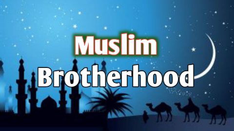 Muslim brotherhood 