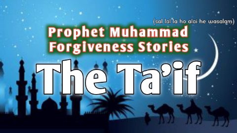 Prophet Muhammad forgiveness stories : The Ta’if