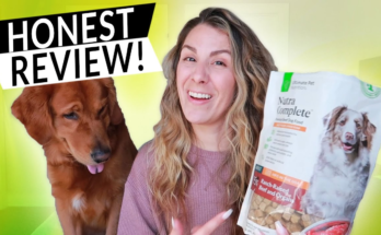 Nutra Complete Dog Food Benefits